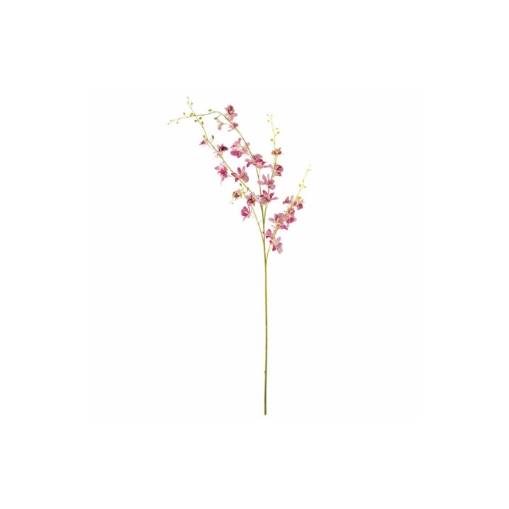 Orchid Stem Rose