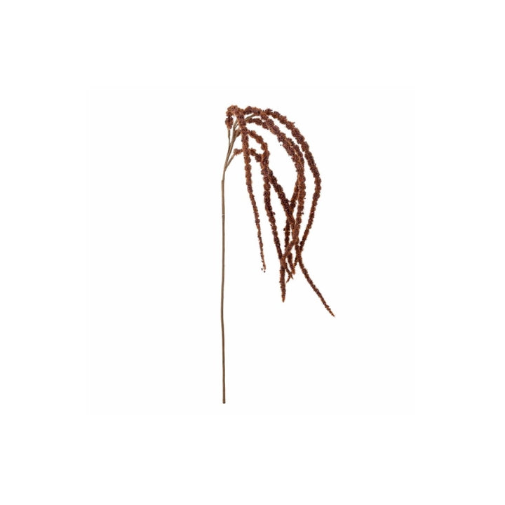 Foxtail Stem Brown