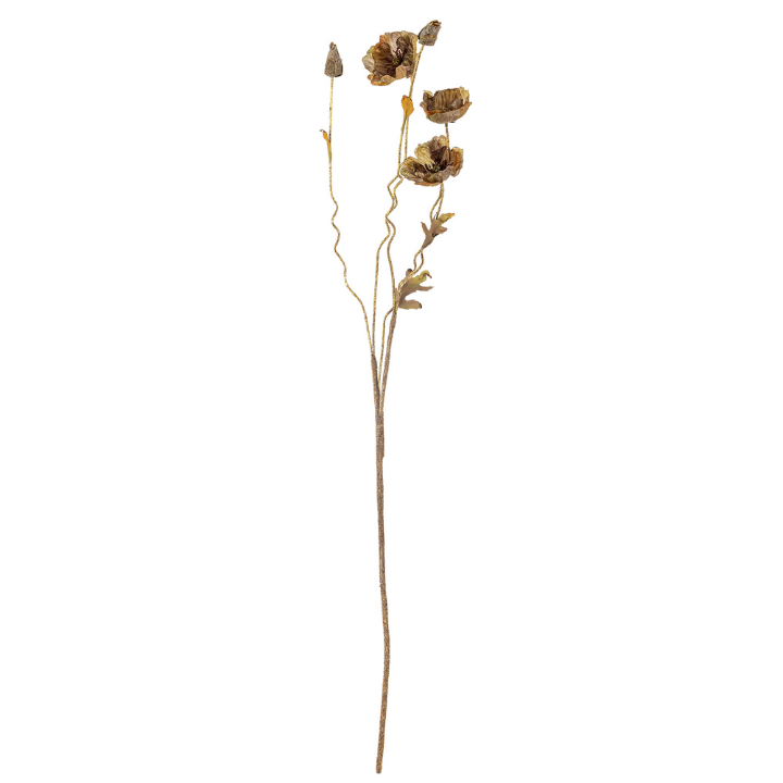 Poppy Stem Brown