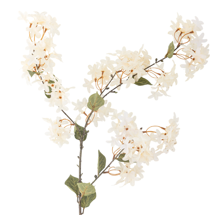 Myrtle Stem White