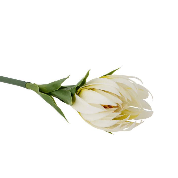 Lily Stem Yellow