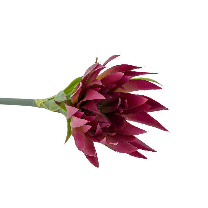 Lily Stem Purple
