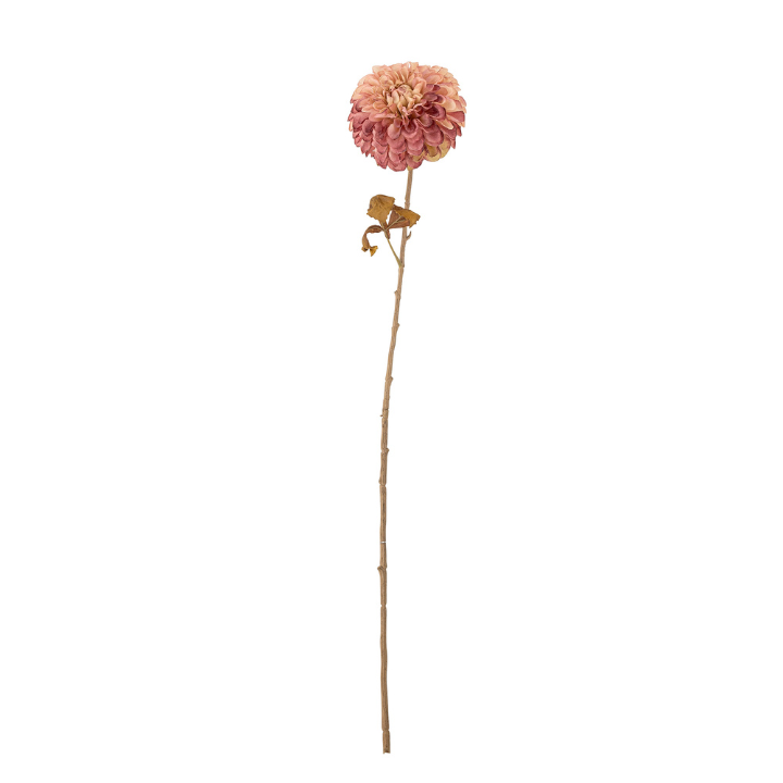 Chrysantemum Stem Rose