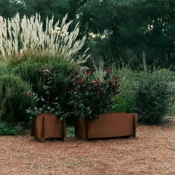 Lapel Planter 38 Rust