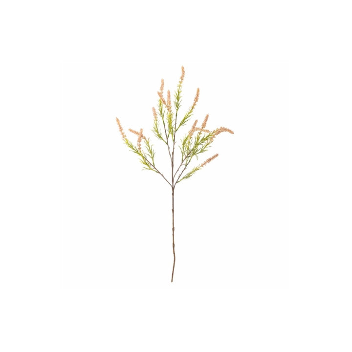 Foxtail Stem Rose