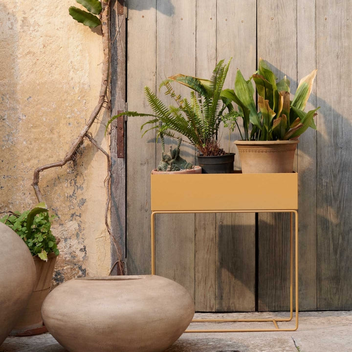 Plant Box Straw