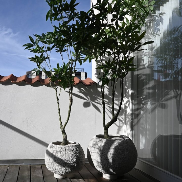 Urchin plant pot beehive