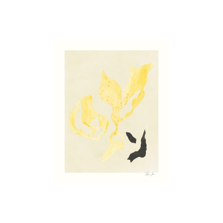 Pluk Rebecca Hein Shadow No 15 40x50